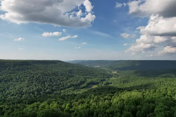 309 Blackberry Rd, Beersheba Springs, TN 37305