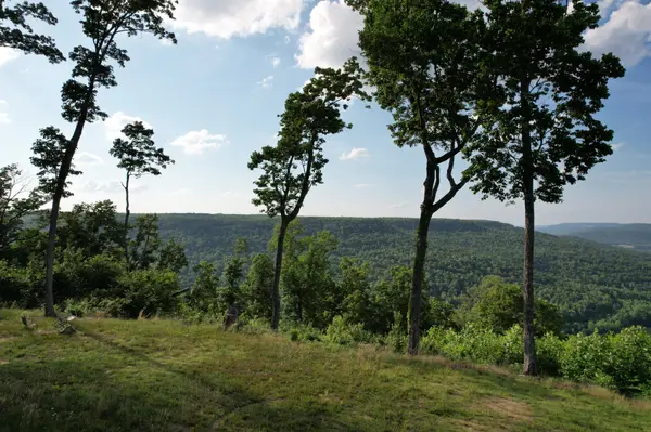 309 Blackberry Rd, Beersheba Springs, TN 37305