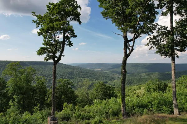 309 Blackberry Rd, Beersheba Springs, TN 37305
