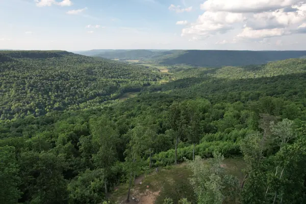309 Blackberry Rd, Beersheba Springs, TN 37305