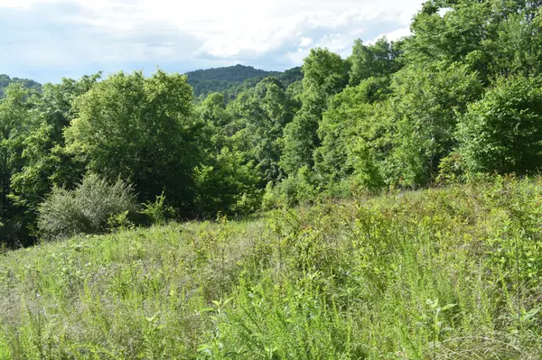 0 Brooks Bend Lane, Gainesboro, TN 38562