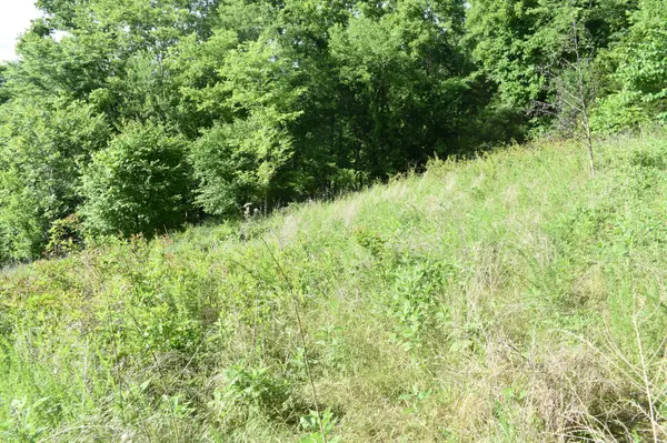 0 Brooks Bend Lane, Gainesboro, TN 38562