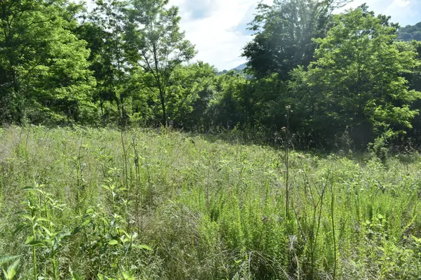 0 Brooks Bend Lane, Gainesboro, TN 38562