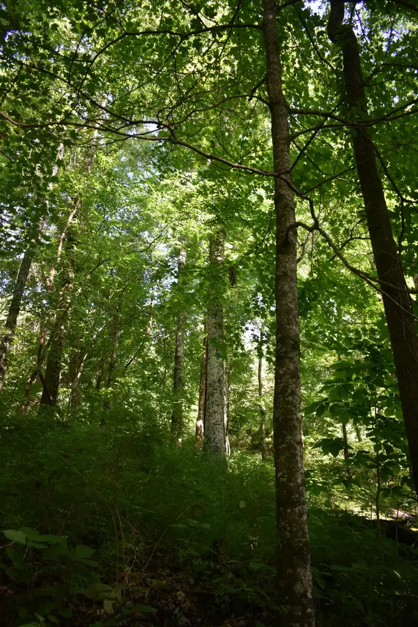 0 Brooks Bend Lane, Gainesboro, TN 38562