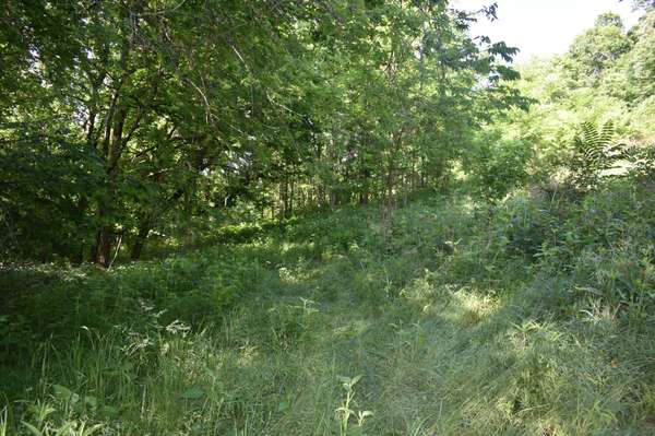 0 Brooks Bend Lane, Gainesboro, TN 38562