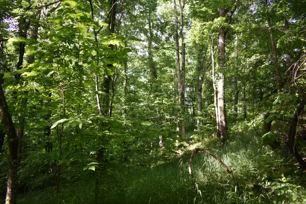 0 Brooks Bend Lane, Gainesboro, TN 38562