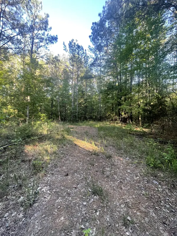 0 Leach Road, Huntingdon, TN 38344