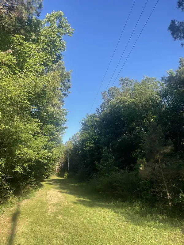 0 Leach Road, Huntingdon, TN 38344