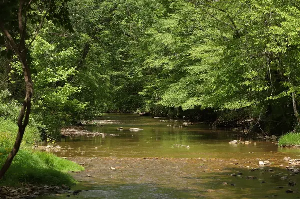 4801 Highway 48, Cumberland Furnace, TN 37051