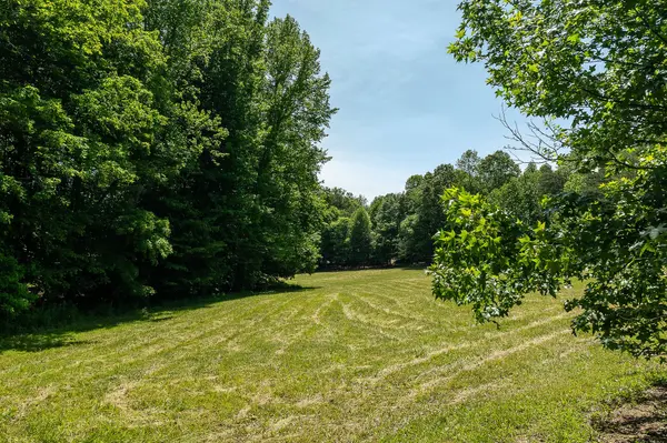 29 Acres Standing Stone Hwy, Hilham, TN 38568