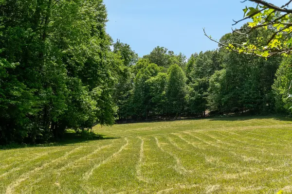 29 Acres Standing Stone Hwy, Hilham, TN 38568