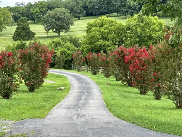 1839 Polly Adams Rd, Belfast, TN 37019