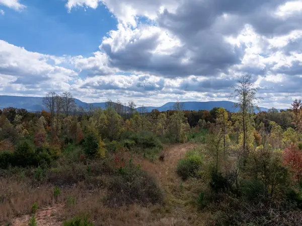 0 County Road 788, Etowah, TN 37331