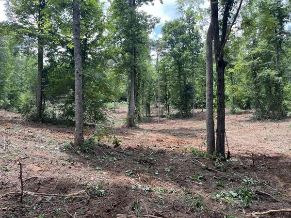 2277 Tellico Reliance Road, Reliance, TN 37369