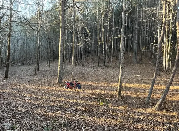 0 County Road 956, Calhoun, TN 37309