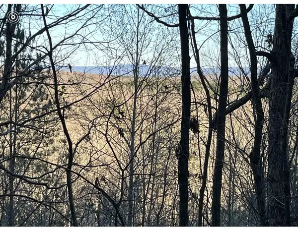 0 County Road 956, Calhoun, TN 37309