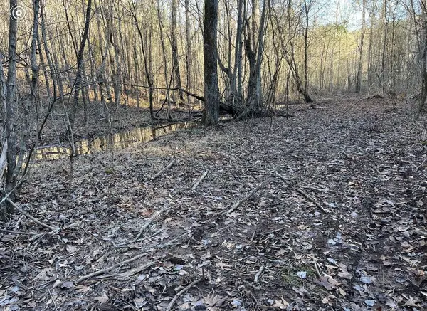 0 County Road 956, Calhoun, TN 37309