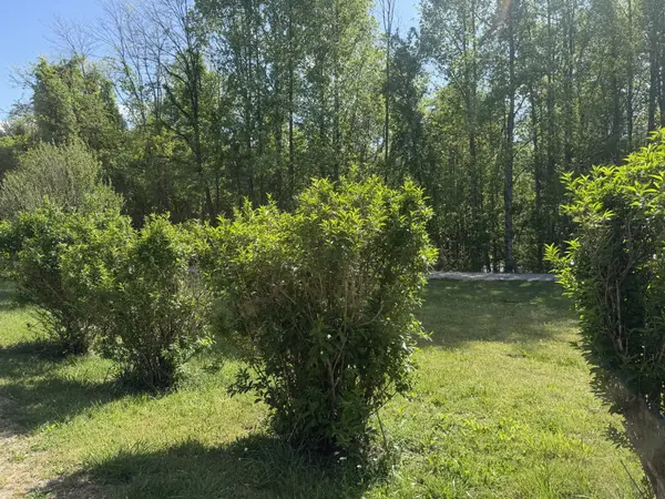 200 Rattlesnake Rd, Mcminnville, TN 37110