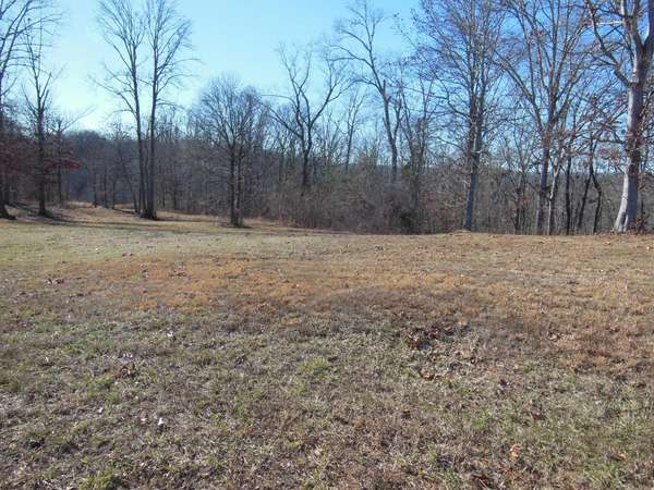 140 Quail Hollow Cove, Spring City, TN 37381