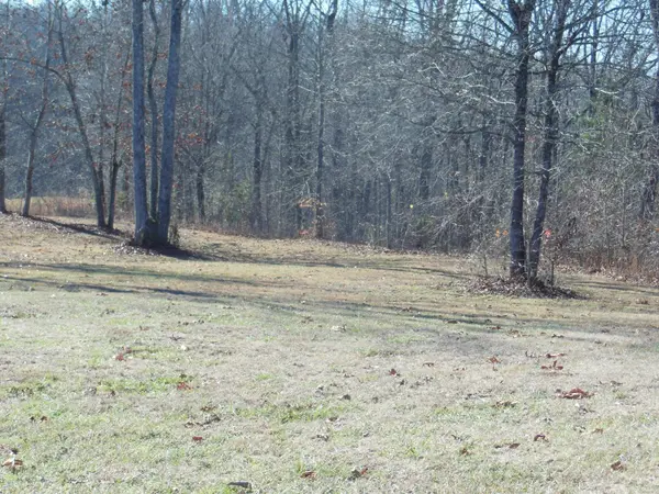 140 Quail Hollow Cove, Spring City, TN 37381