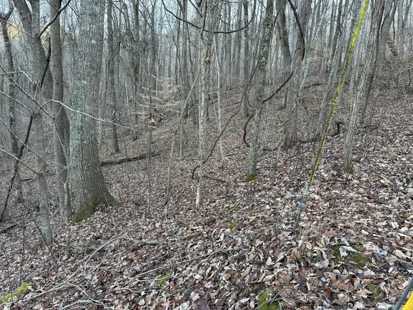 83 Stone Ridge Road, Pikeville, TN 37367