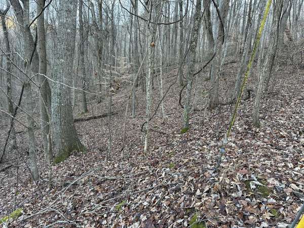 83 Stone Ridge Road, Pikeville, TN 37367