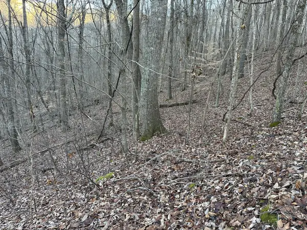 83 Stone Ridge Road, Pikeville, TN 37367