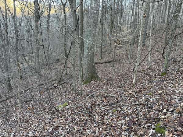 83 Stone Ridge Road, Pikeville, TN 37367