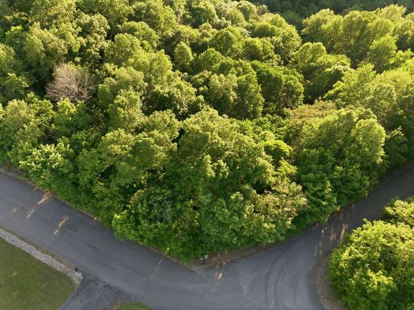 0 Davidson Road, Smithville, TN 37166
