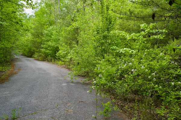 0 Creek Side Lane, Spencer, TN 38585