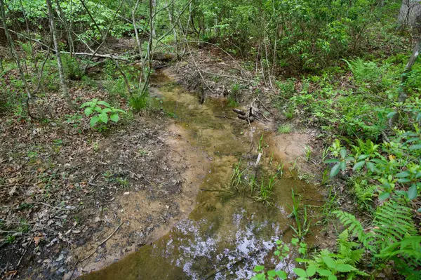 0 Creek Side Lane, Spencer, TN 38585