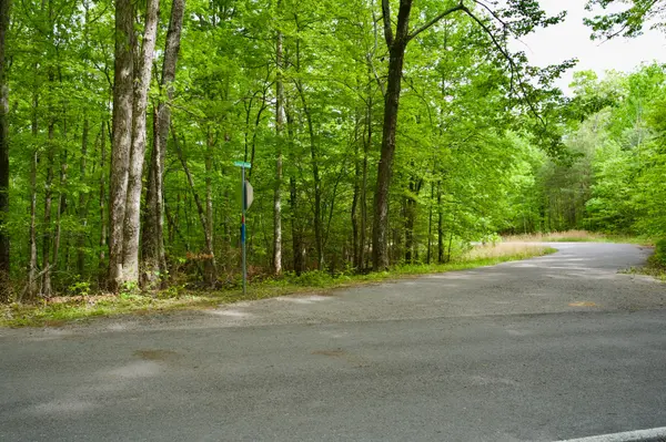 0 Hills Cemetery Rd, Spencer, TN 38585