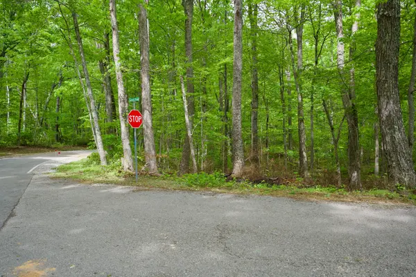 0 Hills Cemetery Rd, Spencer, TN 38585