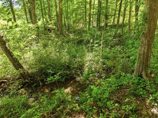 6 Falling Water Rd, Cookeville, TN 38506