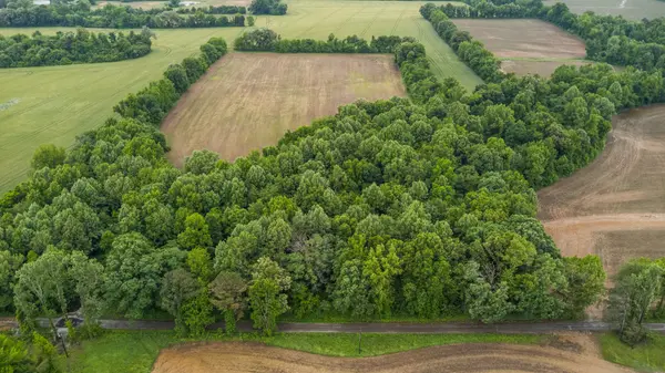 0 Tippett Ln, Brownsville, TN 38012