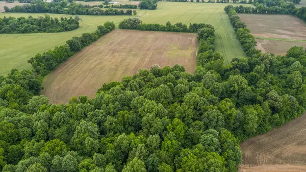 0 Tippett Ln, Brownsville, TN 38012
