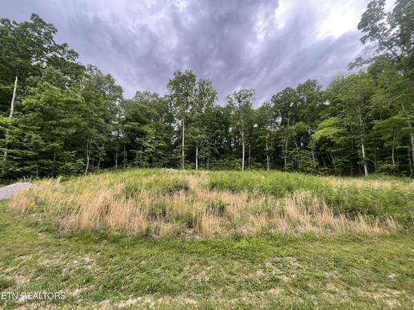 0 Willow Ridge Drive, Crossville, TN 38571