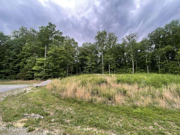 0 Willow Ridge Drive, Crossville, TN 38571