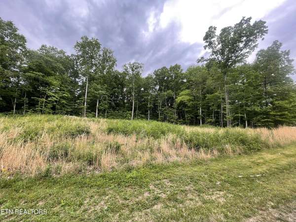 0 Willow Ridge Drive, Crossville, TN 38571