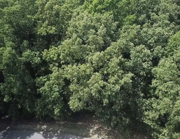 957 Grand Valley Dr, Saulsbury, TN 38067
