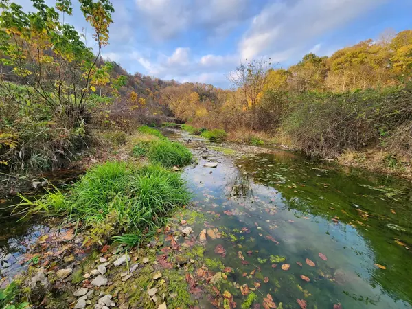 0 Pine Lick Rd, Whitleyville, TN 38588