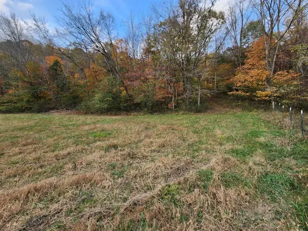 0 Pine Lick Rd, Whitleyville, TN 38588