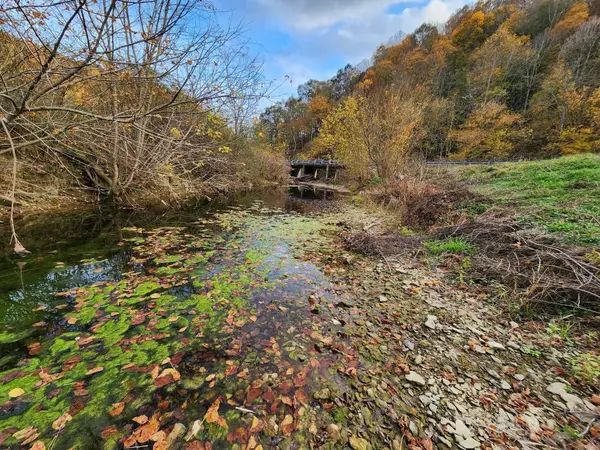 0 Pine Lick Rd, Whitleyville, TN 38588