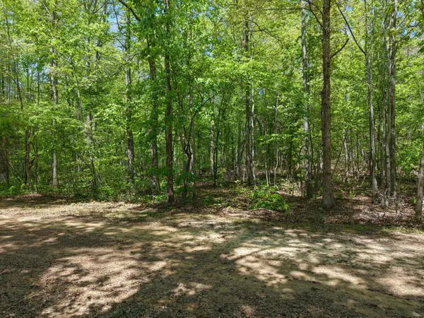 0 Jim Black Drive, Old Fort, TN 37362