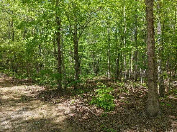 0 Jim Black Drive, Old Fort, TN 37362
