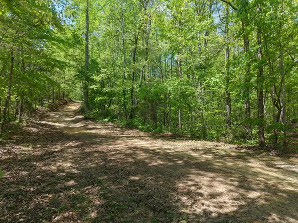 0 Jim Black Drive, Old Fort, TN 37362