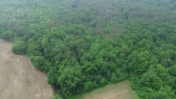 510 Lost Creek Farm Dr, Decaturville, TN 38329