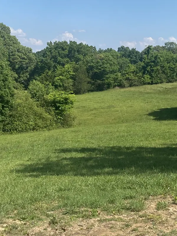 656 County Rd, Anderson, AL 35610