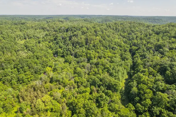 0 Haze Hyde Hollow Rd, Bethpage, TN 37022