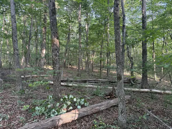 1672 Besstown Road, Beersheba Springs, TN 37305